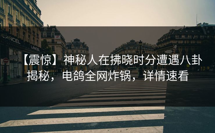 【震惊】神秘人在拂晓时分遭遇八卦 揭秘，电鸽全网炸锅，详情速看